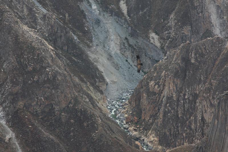 925-Cruz del condor,15 luglio 2013.JPG